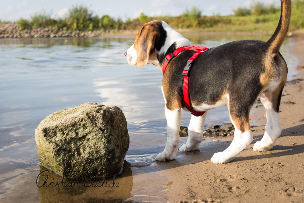 erster Besuch an der Elbe