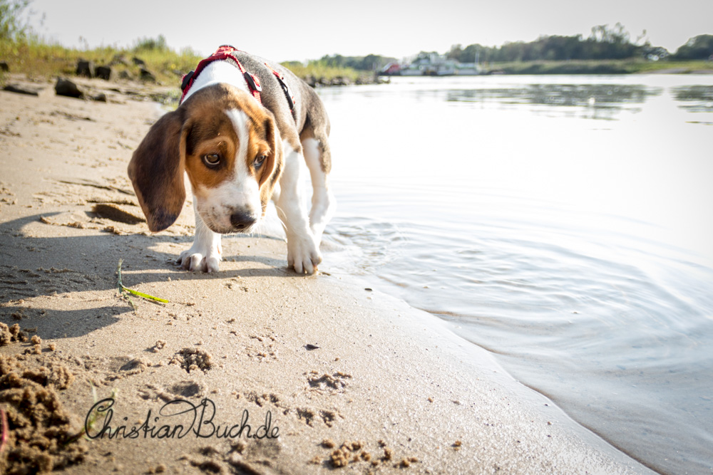 erster Besuch an der Elbe