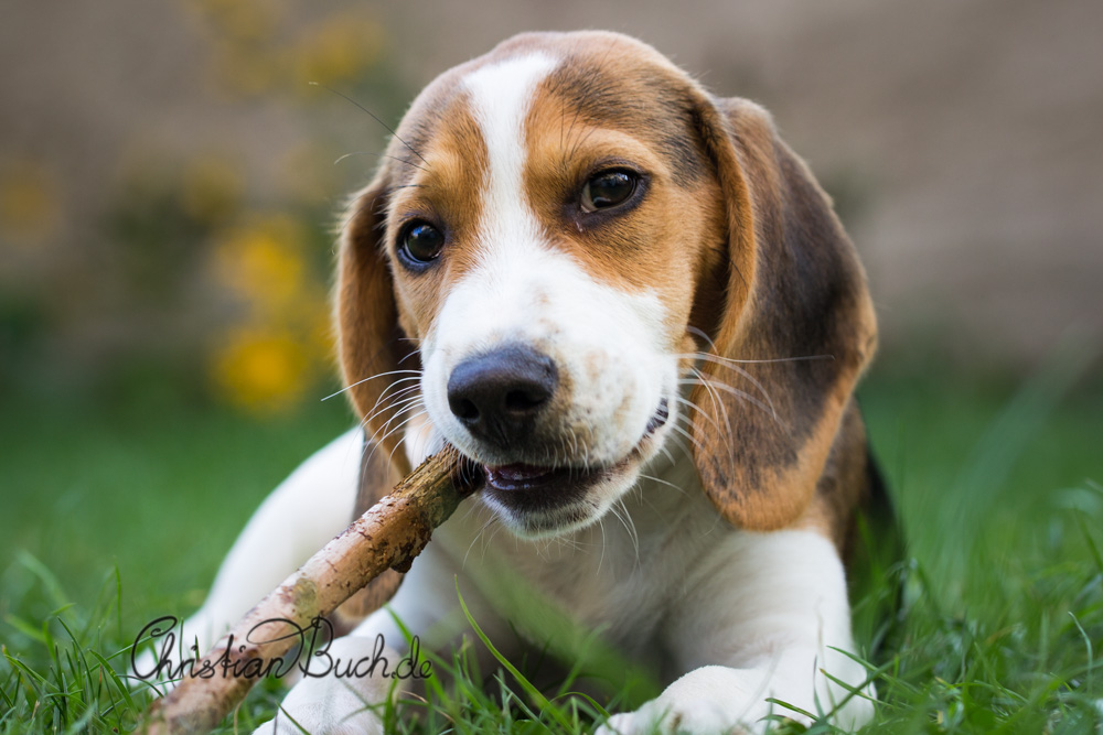 IMG 8916 - Selbstportrait