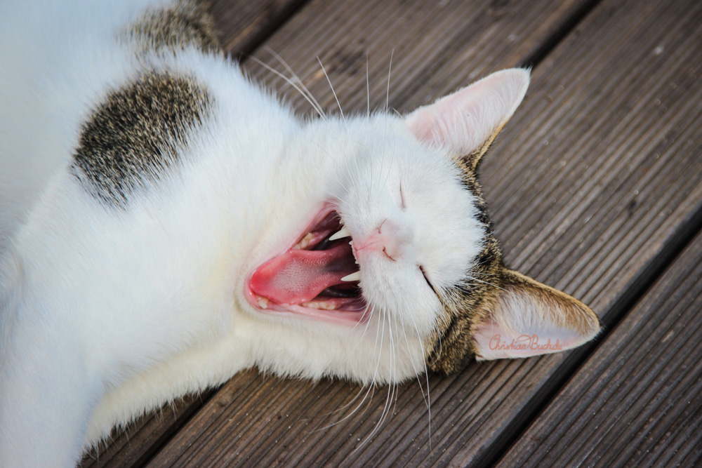 ganz schön müde 😅